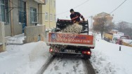 ÜSKÜDAR BELEDİYESİ KARLA MÜCADELEYE ARA VERMEDEN DEVAM EDİYOR!