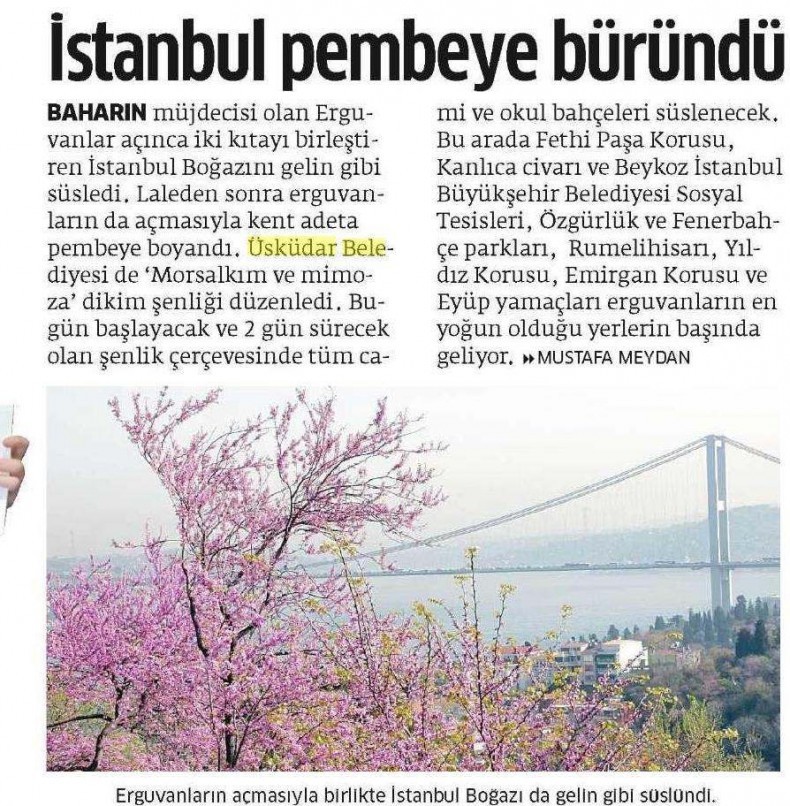 İstanbul Pembeye Büründü