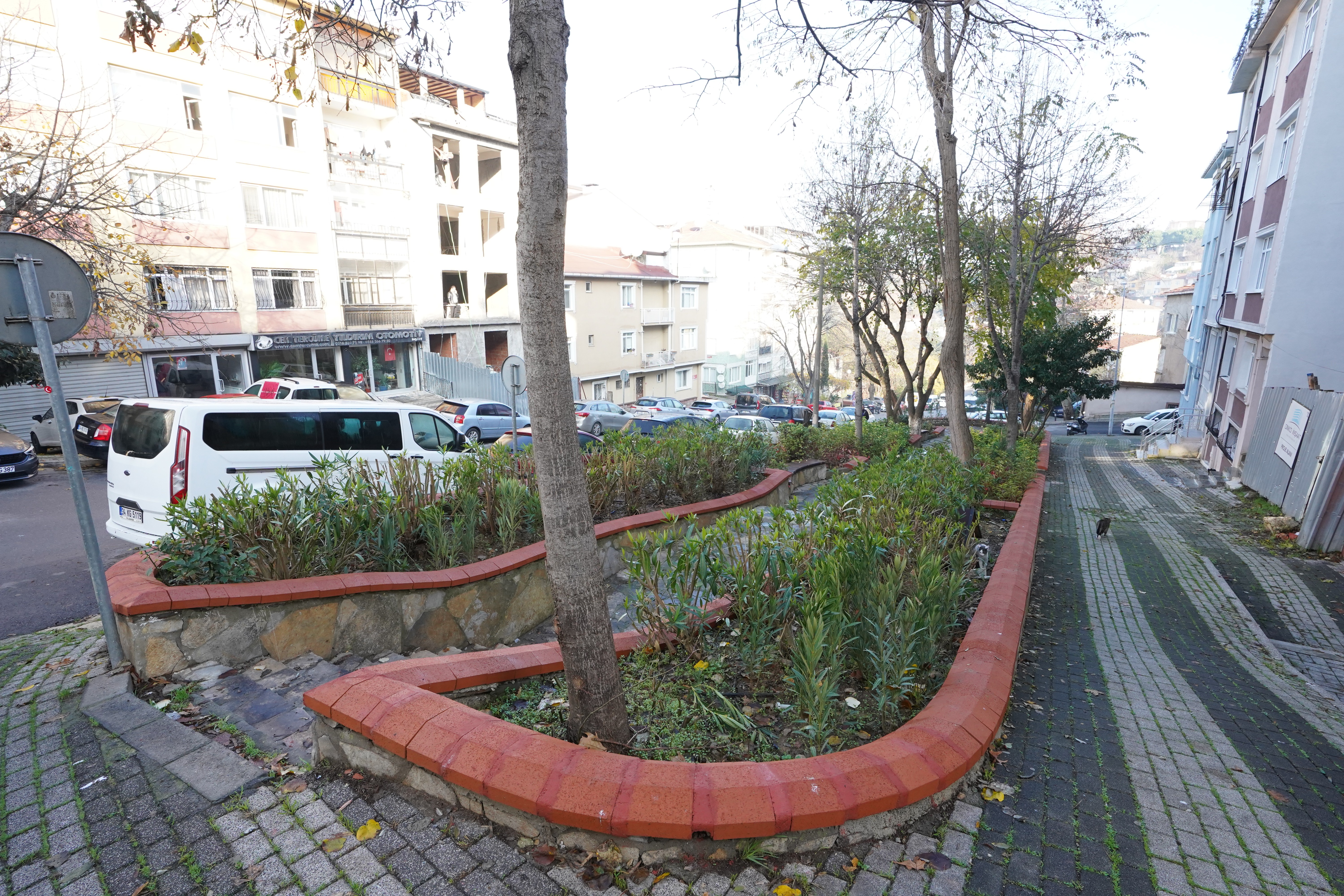 Çınaraltı Parkı