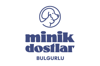 Minik Dostlar Bulgurlu Kliniği