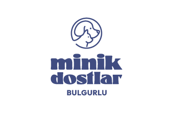 Minik Dostlar Bulgurlu Kliniği