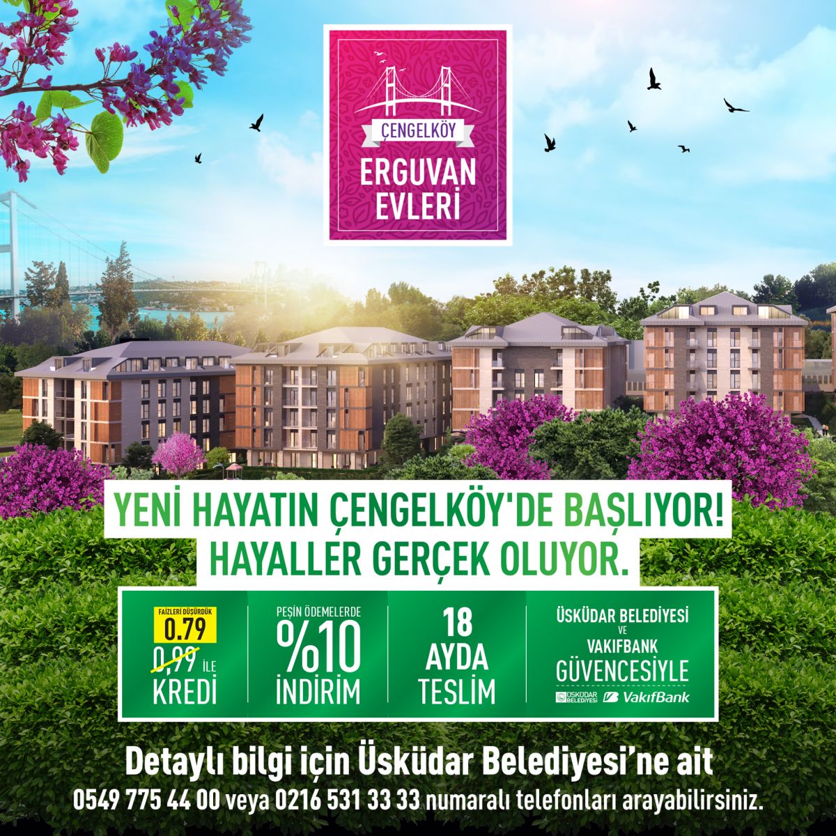 cengelkoy erguvan evleri